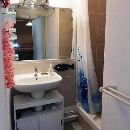 Appartement 2 Pieces Cabine Avec Loggia Piscine * Agde